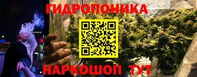 ПСИЛОЦИБИНОВЫЕ ГРИБЫ Краснодар