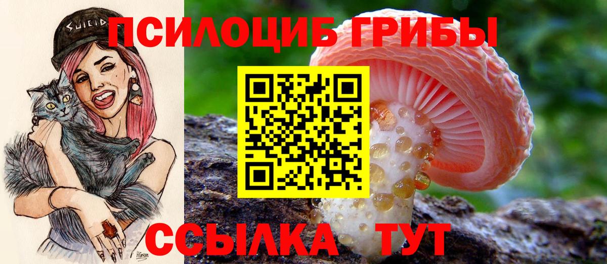 Галлюциногенные грибы ЛСД  Галлюциногенные грибы прущие грибы  Зима  Вход с VPN 