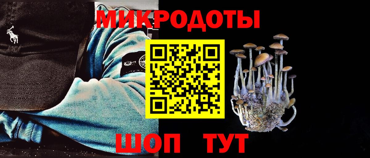 Псилоцибиновые грибы GOLDEN TEACHER Зима
